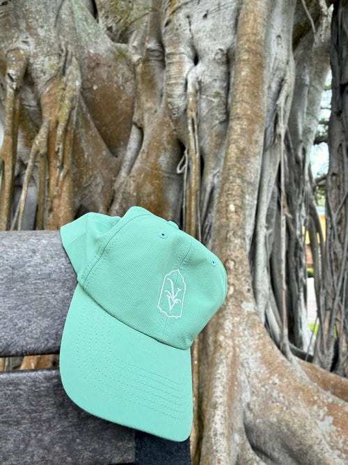 Venice Vida Banyan Hat in Laurel Green resting on a bench beneath a banyan tree in Venice, Florida