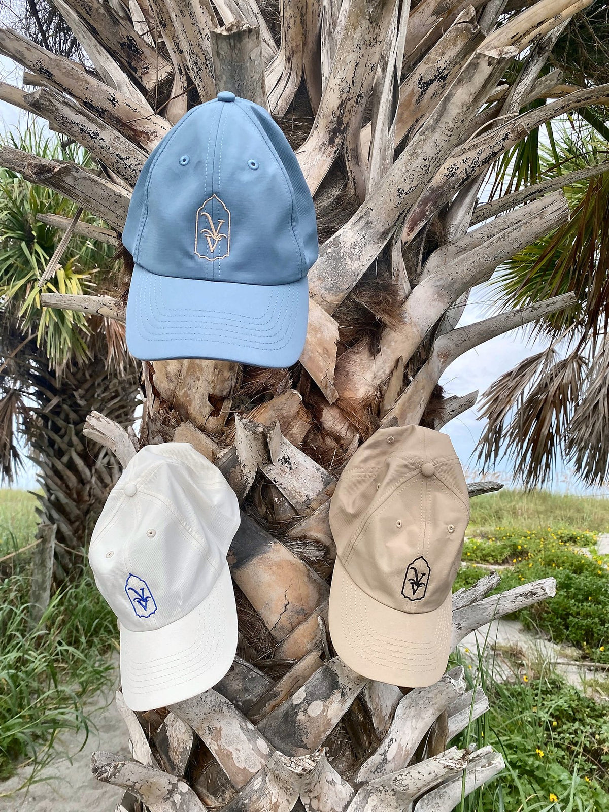 Venice Vida VV hats in blue, white and sand hanging on a palm tree in Venice, Florida